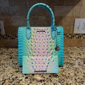 Brahmin Cotton Candy Ady and Small Caroline